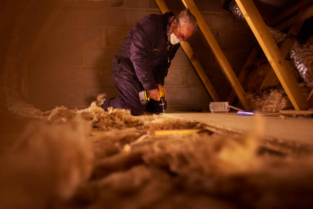 Best Energy Efficiency Solutions in La Paloma, TX