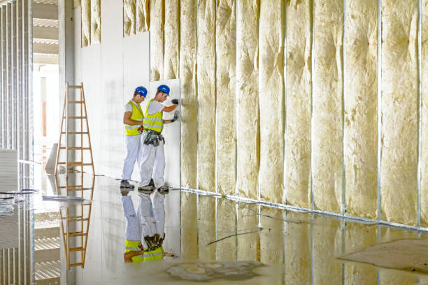 Best Specialty Insulation in La Paloma, TX